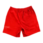 Cactus Jack All American 92 Shorts